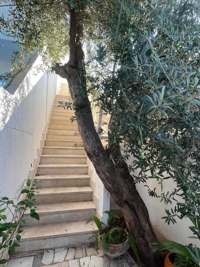 Luxeux Et Ideal A Marsa Plage Vue Sur Mer Lägenhet La Marsa Exteriör bild